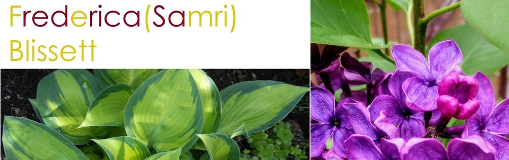 composite image of flowers and my name